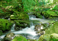 2018-10-02/ef6760e8cc18fc036ab53d9691a8b910_9d8ace189f15dc0b38f92035b25028d3