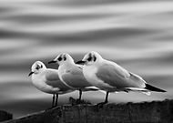 2018-10-03/47e392beff10fc32dac118ba3bde1312_5bb7ebc4ca0730161a9e6e9f8a8ed1c4