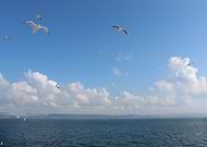 2018-10-03/66eea318b6f1ba00112592e6882d8b4b_6c4225539bd15ae785b3d35be485588b