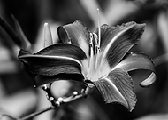 2018-10-03/e618eb05ddb03465ff719d317a381960_78cfbc3e5db9d941237ac774e705d587