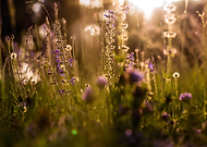 2018-10-03/f37b0bdf66d7b13708e76aad86a282e7_457ad0e50dc1eb20f9487649be1bb02f