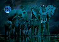 2018-10-04/215dcd6b6c8eafed9a1b688ea33fa239_9b7f90b14043fd3a0622bd2f5d4b520f