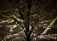 2018-10-04/56e49a0d40bf98a0133661eaa512dbd1_96e050ff77369dc9ae138518e2cf39bd