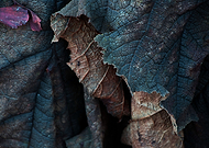 2018-10-04/6299b1cdf4b391c5d2b0160e1a2302fe_dae41d93b47720bb7ac435c6f3ea5ab1