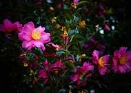 2018-10-05/0fa6496abaad7efee82bc7f0de503884_d91540b019d4958e5410d17f1a38b873