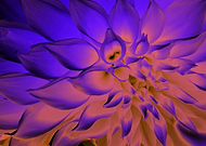 2018-10-05/216a43b14fdd791d71fb5f704127fd4b_3d0e221c2855730476418b1779eb0ea5