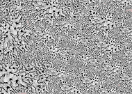 2018-10-05/b219b248b2e796d0096ac12fc4571fdf_abf2dc7e129fb282e47640aaa7c99906