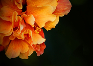 2018-10-06/954984377c6f1be8eada6f8891ec4788_8ca51495c0f949ce0c5a0d5b678d6a08