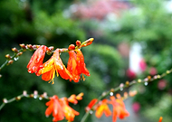 2018-10-06/bf6d0a2a08ece319d7c60f168c71e366_7fd0983985531e1a61a70a15b0f0de8a