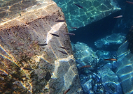 2018-10-08/25d730030934ddb3fa828473d13b5524_f77e4b0f1d860ebc3762a1bd7d99da81