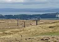 2018-10-08/cb0b4d7c2a18d2d48f9c7d96e5dce4f5_cd7ad2bd29853665f1023b3d3da63397