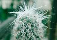 2018-10-10/380aa5afeec8c2891f22d3ed2e76a746_17925aa5c62526527bfb1d96ef219794