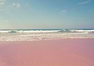 2018-10-10/b67d19808d216ee321806b7820870aa1_89d2f042f03508a368a2e6990f6c1250