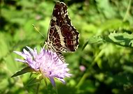 2018-10-14/c5b18336e9abe3f464d41d4de3fd91f0_2e5b919ba4b7866c8a32f808ff475008