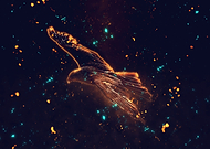 2018-10-15/615755c08bc878b17c8b127fbd5cc89d_0e6bc0f537b53b8a8c90453b1227eb75