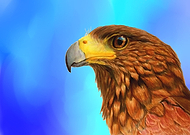 2018-10-16/0d5c6c98c84f725d52739ce72d388741_8096164feaf9e421ac89d1df1c50c741