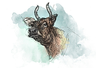 2018-10-16/b0ce0bf68b57022bc580e1311b6b0822_5f20c1791f691bd8c6fd568659823bb6