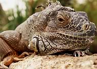 2018-10-18/9197423df252e3343c2be32c45e4845b_7495da1aa2a48eb54ff361eecece1c26