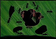 2018-10-19/6f35a01b3f7724d6342c51db9af3d71c_a44d13647c78358e97769b11538194de