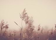 2018-10-22/4827429cb29a6602814fa96b2d9e5657_eb2441bed496dacf813adf71fcf8a649