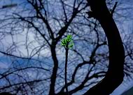 2018-10-23/12b86a1d3eacdefe1662c391eabfefcb_6ca712779776036871d3750ed304d33b