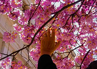 2018-10-23/27d0c2a53e081c9eff5d751ff33dd847_49bc4c43c5858e1ad8e834ae7931a01e