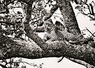 2018-10-23/4757c752fb2c13ae8e955a685826fdda_ead5c2bf95419b7fe8af4cba8145110f