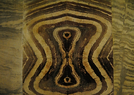 2018-10-23/4b2d4dc5ce009ad878767e727e7bbf79_5660fb603954faad7ca62804ab4ba255