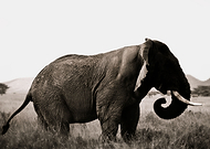 2018-10-23/70fdbe1479a19df30cdaaafe4691ed83_f1f2ded0c512ab0fdb0333506ca452c7