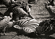 2018-10-23/aee24fe5cbee1e7c144eefdedb074f09_45fb2f41391ab047af351ec8abd125e1