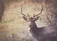 2018-10-23/d4217569864280823a59219630fc26d0_ea5e377b41d44c2f4c45993b03a9e826