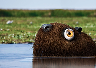 2018-10-24/f9e73042aa6c1d956e3b86274a3e2609_2b5d4fa8915063e26bb84f7a171ac8c2