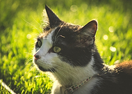 2018-10-25/56749759045d134bfd9b07a2ae33cc03_26eb740be9d998f7b179af024c7b05c3