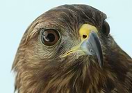 2018-10-25/787315ae76fdeb64e8375016c73914b6_280f4032f85ba3978c30a958506dc271