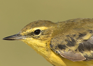 2018-10-25/b3bd7f287be3c72a9a1370bfe3b7f091_19a60b0da46b01af15e3ddd8c78ce96e