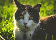 2018-10-25/c7fbdb41a68ab940a0c40a9e34c233e8_23f073376138fe57f5d3a3b0736f835d