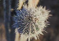 2018-10-26/2ca5a0544acfb0fd1eadc6ffd324a3a1_81025e847c15e6e23b0851be8f49af7a