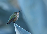 2018-10-26/615c72321c44713f5ba84b8ae9993b17_f45a517741888f70d9d751ce2ee4957c