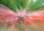 2018-10-26/af437830727c16ea13a312b469af60d4_61789784fe27d9948de1c386b69fbd0f