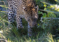 2018-10-29/7749316a4b1876b7b31038366ea46855_6462a76f313decdfd985c0ead5c4cf92