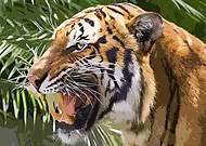 2018-10-29/98407c0f41c633a9f3740c14c12dd303_5b7a5862f2bfccab16760ddbb7fb221f