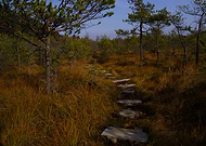 2018-10-29/ea357e53ef18918b2d3c86138c658f0a_97ff6dfd138a2fb175f8fd21ce618c7b