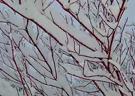 2018-10-30/bd697b7b7e7fd614a99adcf09c50433f_2ee32886e44f768b91c16c51caf8a8f5