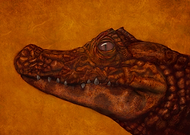 2018-10-31/a8e79dd1f8fcf8c15ea88857c2ea60cc_b77e5280120cd1a6f898ee6f1bc11eb3