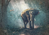 2018-11-03/0680bc61fa9b9de07a74819e0dba60c0_cfceef537c9851523309fd0299c4cd36