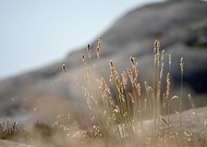 2018-11-06/1b1775468ad5af8ca03b5d9b7f12fb66_21375c44fe282db3016a86299441aec9