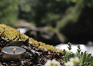 2018-11-07/3906a8c89662798c61c65b434041ad91_353d7e24218fdb0ae969da949f93dde8