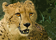 2018-11-07/f6a3db63833d0dafdd170ed95d71d788_0d65d632e3ed198218a66fd4cc493f13