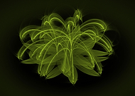 2018-11-10/6b186951ec239403a6a7f1ce837510aa_ce40154a86e76d0805b0d6f6e43997fa