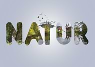 2018-11-11/11f261772c66cb93ff7ac397fbcca89b_f0e9acd2e787dc61707399149830c2a2